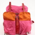 PRADA Triangle Logo Nylon Leather Backpack Ruck Sack Pink B6677 Used - 图片 18
