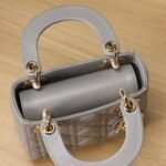 Mini Lady Dior handbag(channel) - 图片 8