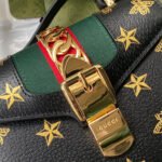 GG Sylvie Bee Star mini leather bag - 图片 7