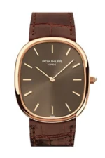 Patek Philippe Golden Ellipse Automatic Brown Dial 18 kt Rose Gold Men's Watch 3738/100R-001