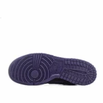 Concepts x Nike SB Dunk Low Purple Lobster Low Top Sneakers - 图片 2