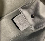Diorcamp Handbag - 图片 2