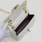 Chane Badge Bag Size: 20cm - 图片 3