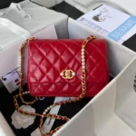 Calfskin Reference: AS3001 Dimensions: 23x15.5x7.5cm