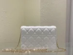 Lady Dior clutch size: 3105 Size: 19.5 x 12.5 x 5 cm - 图片 4