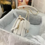 Chane Xiaoxiang Classic Bag Model: AS3002 size: 18/13/7 - 图片 4