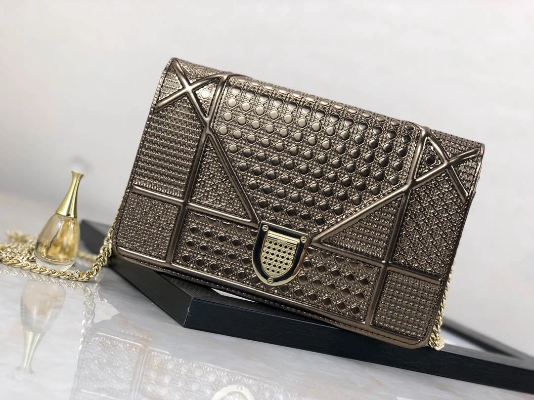 Diorama Woc Chain Bag Size: 19cm
