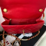 Calfskin Reference: AS3001 Dimensions: 23x15.5x7.5cm - 图片 5