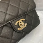 Chane Xiaoxiang Classic Bag Model: AS3002 size: 18/13/7 - 图片 6