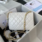 Calfskin Reference: AS3001 Dimensions: 23x15.5x7.5cm - 图片 5