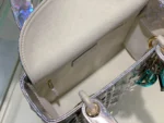 Lady Dior handbag size:20.5*8.5*17cm - 图片 6