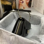 Chane Xiaoxiang Classic Bag Model: AS3002 size: 18/13/7 - 图片 9
