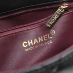 Chane Badge Bag Size: 20cm - 图片 7