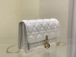 Lady Dior clutch size: 3105 Size: 19.5 x 12.5 x 5 cm - 图片 6