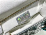 Lady Dior handbag size:20.5*8.5*17cm - 图片 7