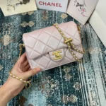 Chane Sachet Model AS2855 Dimensions: 19x13x6cm - 图片 5