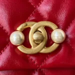 Calfskin Reference: AS3001 Dimensions: 23x15.5x7.5cm - 图片 7