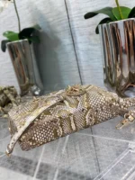 joy series python skin size:26*6*14cm - 图片 7