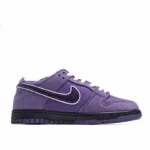 Concepts x Nike SB Dunk Low Purple Lobster Low Top Sneakers - 图片 9