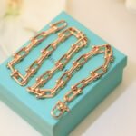 Tiffany HardWear - 图片 5