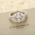 Joséphine Amour d'Aigrette - 图片 9