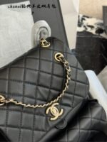 Chanel duma backpack - 图片 8