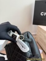 Chanel duma backpack - 图片 6