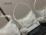 Goya New Hobo Shoulder Bag - 图片 3
