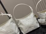 Goya New Hobo Shoulder Bag - 图片 8
