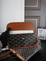 Goyard Black Goyardine Canvas Saint-Louis PM - 图片 9
